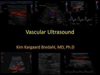 Vascular Ultrasound
Kim Kargaard Bredahl, MD, Ph.D
 