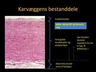 Karvæggens bestanddele
Små glatte
muskelceller og
elastisk fibre
Endothelceller
Adventitia består
mest af kollagen
Stor forskel i
akustisk
impedans fra lav
til høj →
Refleksion ↑
Måler aldrig IMT på forreste
væg
kimbredahl79@gmail.com
 