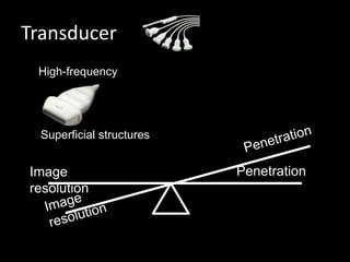 Transducer
Image
resolution
Penetration
High-frequency
Superficial structures
 