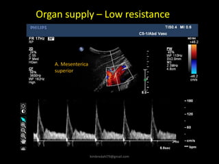 Organ supply – Low resistance
A. Mesenterica
superior
kimbredahl79@gmail.com
 