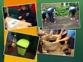 ShallotsCooking and Eating