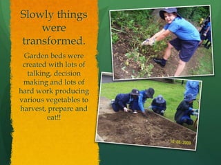 Slowly things were transformed.Garden beds were created with lots of talking, decision making and lots of  hard work producing various vegetables to harvest, prepare and eat!!