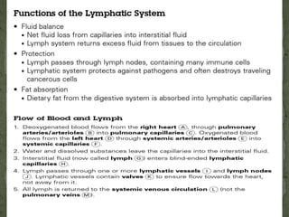 The Anatomy of Lymphatic System | PPTX