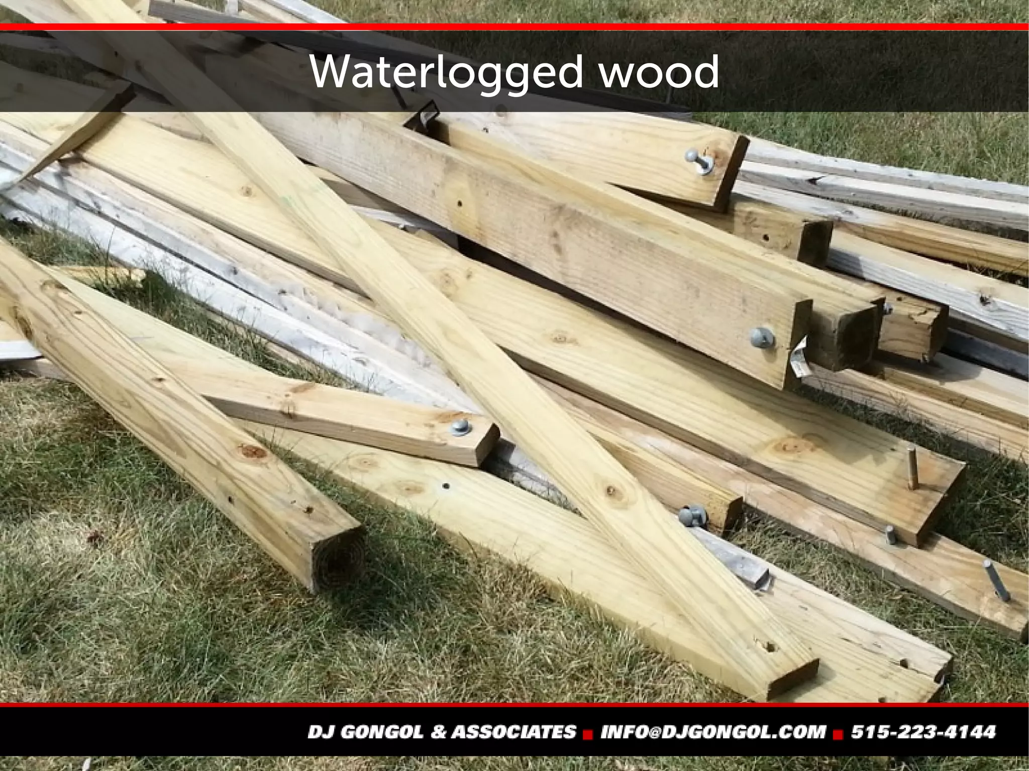 Waterlogged wood
 