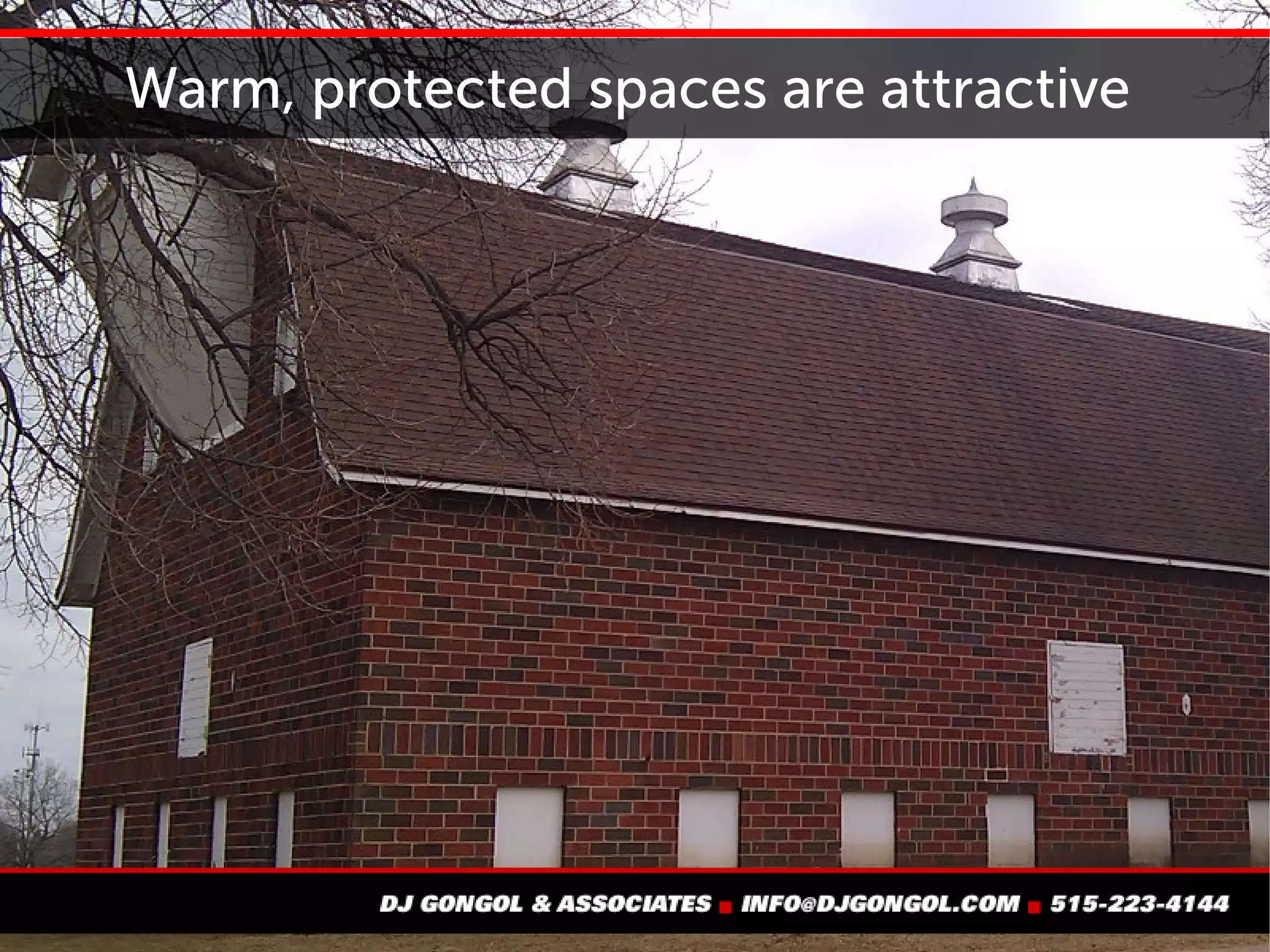 Warm, protected spaces are attractive
 