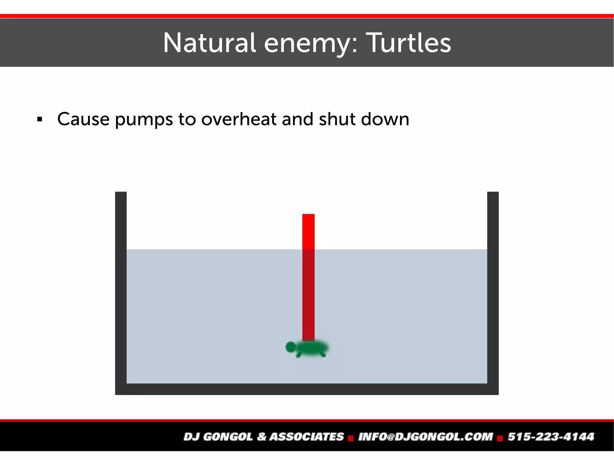 Natural enemy: Turtles
 Cause pumps to overheat and shut down
 