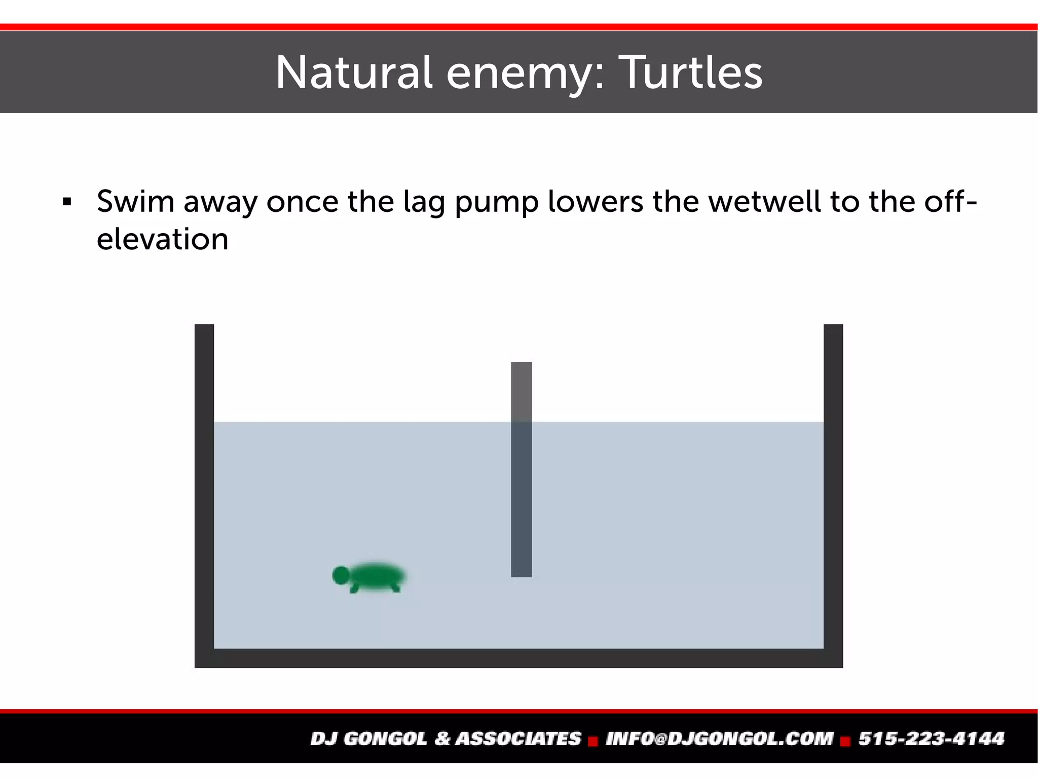 Natural enemy: Turtles
 Swim away once the lag pump lowers the wetwell to
the off-elevation
 
