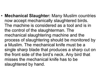Mechanical Slaughter:  Many Muslim countries now accept mechanically slaughtered birds. The machine is considered as a tool and is in the control of the slaughterman. The mechanical slaughtering machine and the process of slaughtering should be monitored by a Muslim. The mechanical knife must be a single sharp blade that produces a sharp cut on the front side of the bird’s neck. Any bird that misses the mechanical knife has to be slaughtered by hand.  