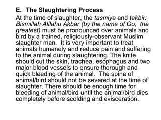 E.  The Slaughtering Process At the time of slaughter, the  tasmiya  and  takbir: Bismillah Alllahu Akbar (by the name of Go,  the greatest)  must be pronounced over animals and bird by a trained, religiously-observant Muslim slaughter man.  It is very important to treat animals humanely and reduce pain and suffering to the animal during slaughtering. The knife should cut the skin, trachea, esophagus and two major blood vessels to ensure thorough and quick bleeding of the animal.  The spine of animal/bird should not be severed at the time of slaughter. There should be enough time for bleeding of animal/bird until the animal/bird dies completely before scolding and evisceration.  