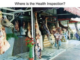 Where is the Health Inspection? 