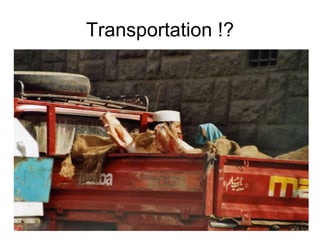 Transportation !? 