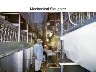 Mechanical Slaughter 