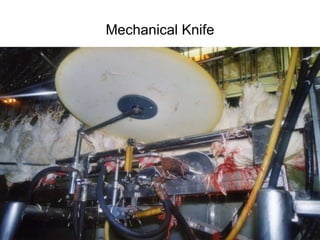 Mechanical Knife 