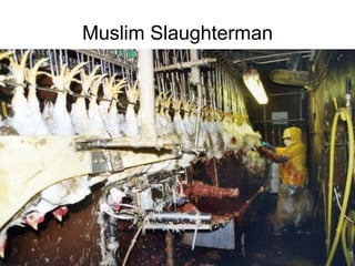 Muslim Slaughterman 