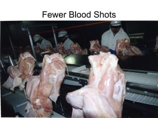 Fewer Blood Shots 