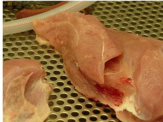 breast meat1_1.JPG    
