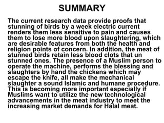 SUMMARY The current research data provide proofs that stunning of birds by a week electric current renders them less sensitive to pain and causes them to lose more blood upon slaughtering, which are desirable features from both the health and religion points of concern. In addition, the meat of stunned birds retain less blood clots that un stunned ones. The presence of a Muslim person to operate the machine, performs the blessing and slaughters by hand the chickens which may escape the knife, all make the mechanical slaughter a sound Islamic and humane procedure. This is becoming more important especially if Muslims want to utilize the new technological advancements in the meat industry to meet the increasing market demands for Halal meat. 