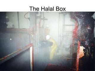 The Halal Box 