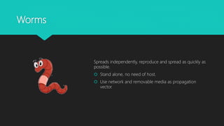 Worms
Spreads independently, reproduce and spread as quickly as
possible.
 Stand alone, no need of host.
 Use network and removable media as propagation
vector.
 