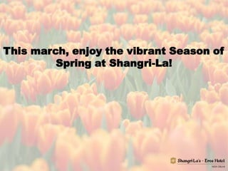 This march, enjoy the vibrant Season of
Spring at Shangri-La!

 