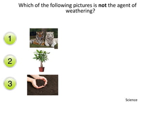 Which of the following pictures is not the agent of
weathering?
Science
 
