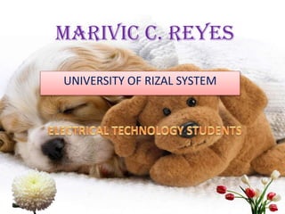MARIVIC C. REYES
UNIVERSITY OF RIZAL SYSTEM
 