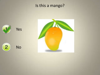 Is this a mango?

Yes

No

 