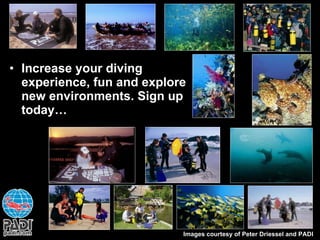 Increase your diving experience, fun and explore new environments. Sign up today… Images courtesy of Peter Driessel and PADI 