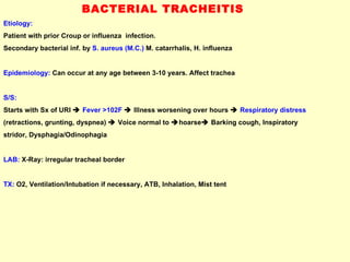 BACTERIAL TRACHEITIS Etiology:  Patient with prior Croup or influenza  infection. Secondary bacterial inf. by  S. aureus (M.C.)  M. catarrhalis, H. influenza Epidemiology:  Can occur at any age between 3-10 years. Affect trachea  S/S:   Starts with Sx of URI     Fever >102F     Illness worsening over hours     Respiratory distress   (retractions, grunting, dyspnea)    Voice normal to   hoarse   Barking cough, Inspiratory  stridor, Dysphagia/Odinophagia LAB:  X-Ray: irregular tracheal border TX:  O2, Ventilation/Intubation if necessary, ATB, Inhalation, Mist tent 