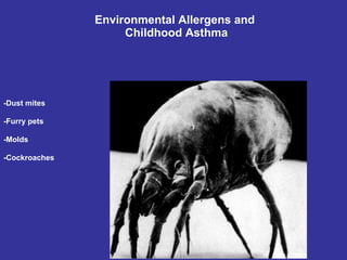 Environmental Allergens and  Childhood Asthma -Dust mites -Furry pets -Molds -Cockroaches 