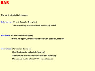EAR  The ear is divided in 3 regions: External ear:  (Sound Receptor Complex) Pinna (auricle), external auditory canal, up to TM Middle ear:  (Transmission Complex) Middle ear space, inner space of eardrum, ossicles, mastoid Internal ear:  (Perception Complex) Cochlea-Anterior Labyrinth (hearing),  Semicircular canals-Posterior labyrinth (balance),  Main nerve trunks of the 7 th  /8 th   cranial nerves. 