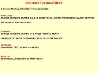 ANATOMY / DEVELOPMENT 4 Sinuses: Maxillary, Ethmoidal, Frontal, Sphenoidal MAXILLARY  SINUSES DEVELOPS  DURING  3rd & 4th GESTATIONAL  MONTH  WITH PNEUMATIZATION BETWEEN  BIRTH AND 12 MONTHS OF AGE ETHMOID   SINUSES DEVELOPS  DURING  3 rd  & 4 th  GESTATIONAL  MONTH. IS PRESENT AT BIRTH, DEVELOPING  UNTIL 12-14 YEARS OF AGE SPHENOID   SINUS DEVELOPED BY AGE 8-10 YEARS FRONTAL   SINUS DEVELOPS DURING  5 th  AND 6 th  YEAR. 