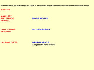 In the sides of the nasal septum, there is 3 shelf-like structures where discharge is drain and is called  Turbinates  MAXILLARY ANT. ETHMOID  MIDDLE MEATUS FRONTAL POST. ETHMOID   SUPERIOR MEATUS SPHENOID LACRIMAL DUCTS   INFERIOR MEATUS (Largest and most visible) 