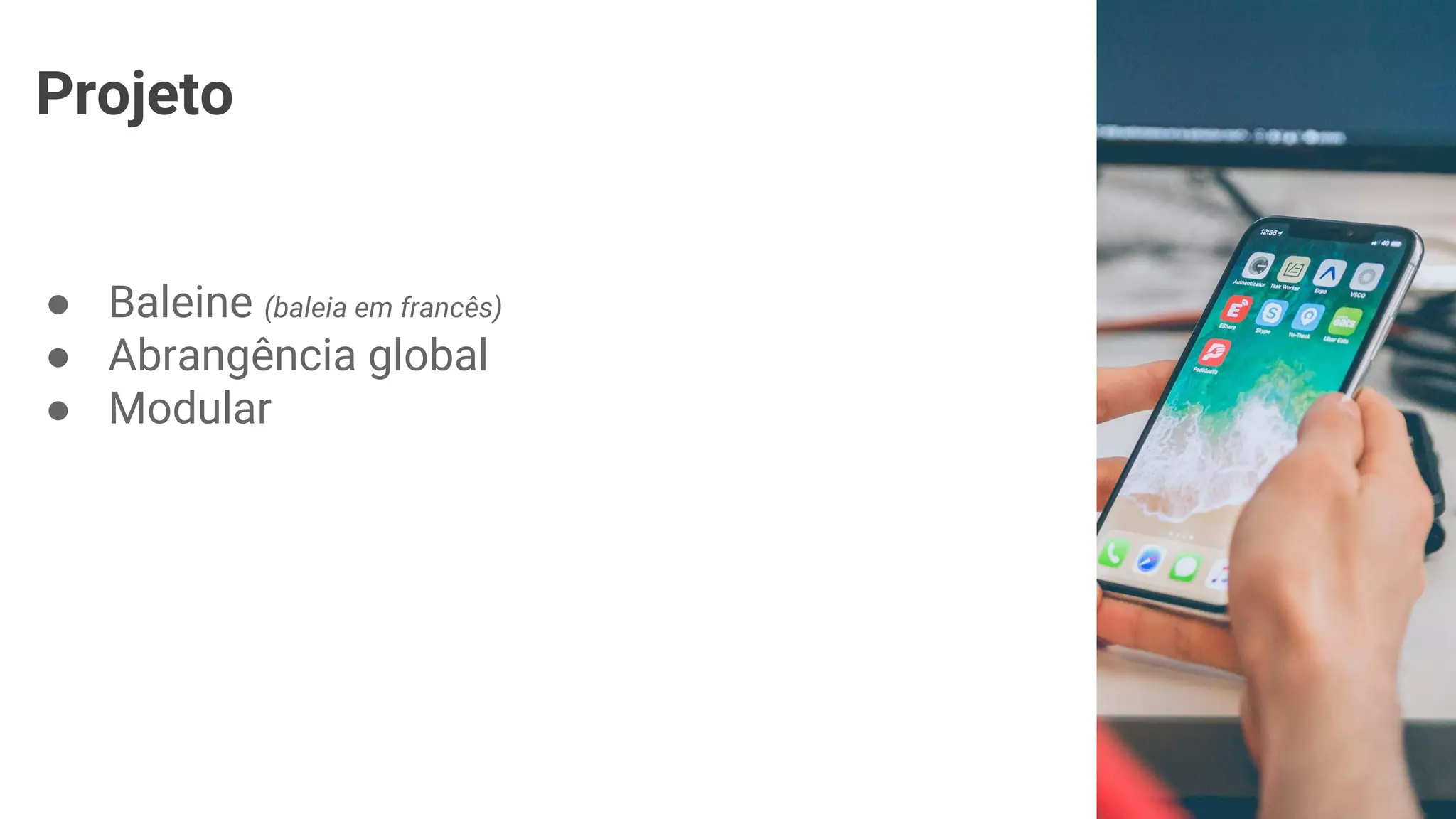 Projeto
● Baleine (baleia em francês)
● Abrangência global
● Modular
 