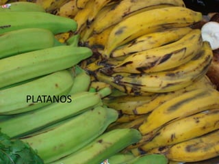 Presentation Mercado