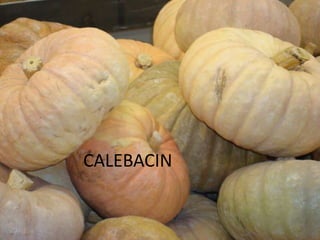 Presentation Mercado