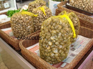 Presentation Mercado