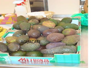 Presentation Mercado