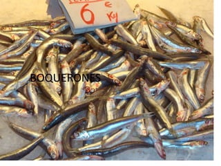 Presentation Mercado