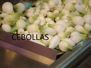 Presentation Mercado