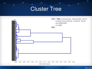 Cluster Tree
 