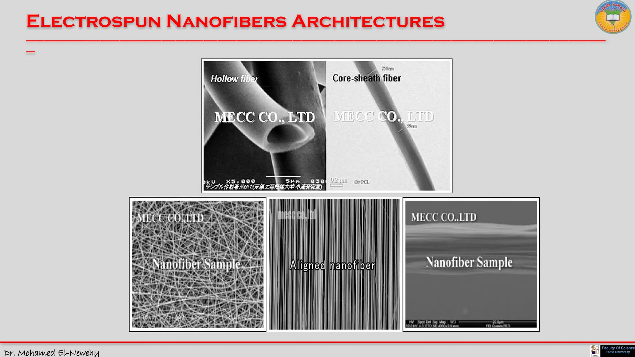 Dr. Mohamed El-Newehy
Electrospun Nanofibers Architectures
____________________________________________________________________________________________________________________________
__
 