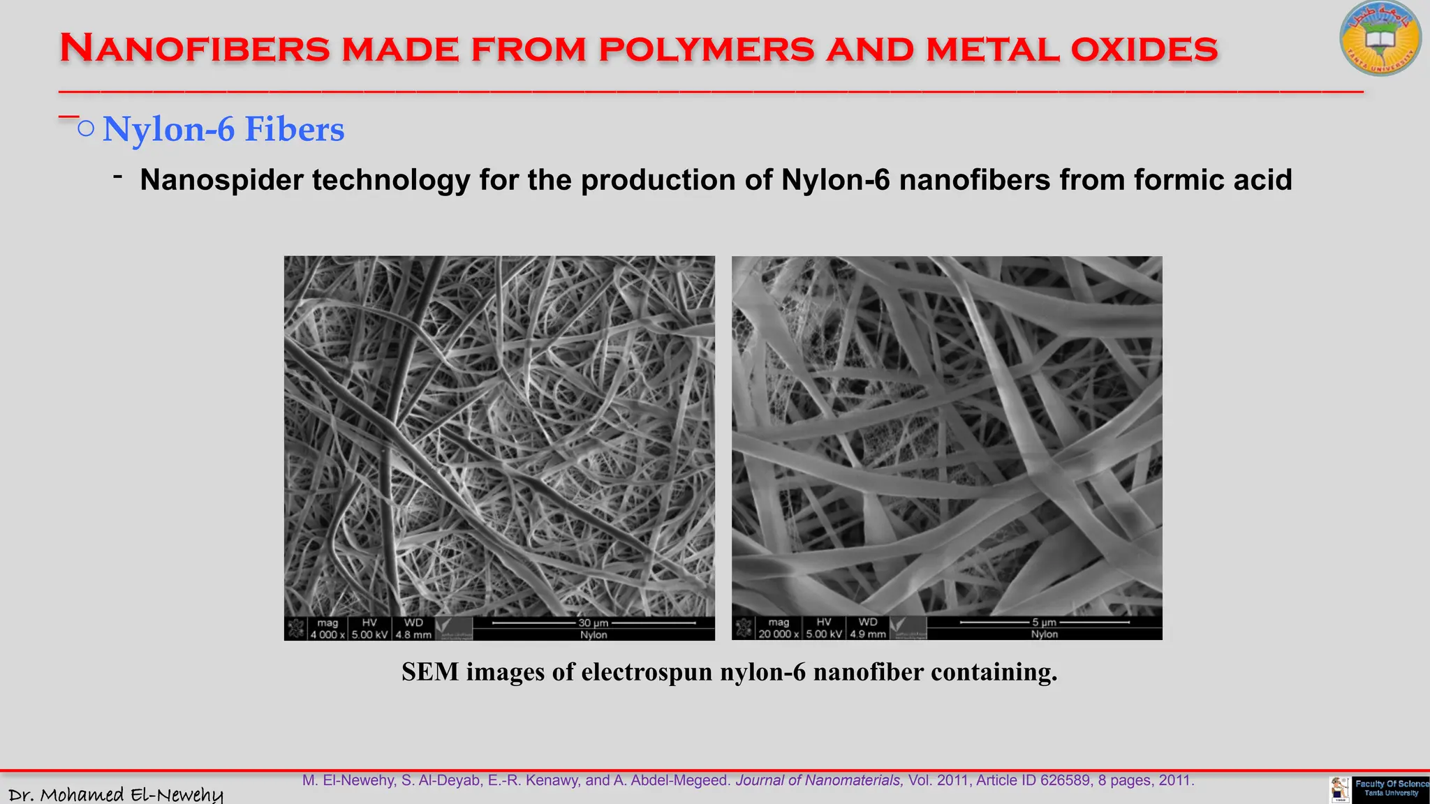 Dr. Mohamed El-Newehy
Nanofibers made from polymers and metal oxides
____________________________________________________________________________________________________________________________
__
oNylon-6 Fibers
- Nanospider technology for the production of Nylon-6 nanofibers from formic acid
M. El-Newehy, S. Al-Deyab, E.-R. Kenawy, and A. Abdel-Megeed. Journal of Nanomaterials, Vol. 2011, Article ID 626589, 8 pages, 2011.
SEM images of electrospun nylon-6 nanofiber containing.
 