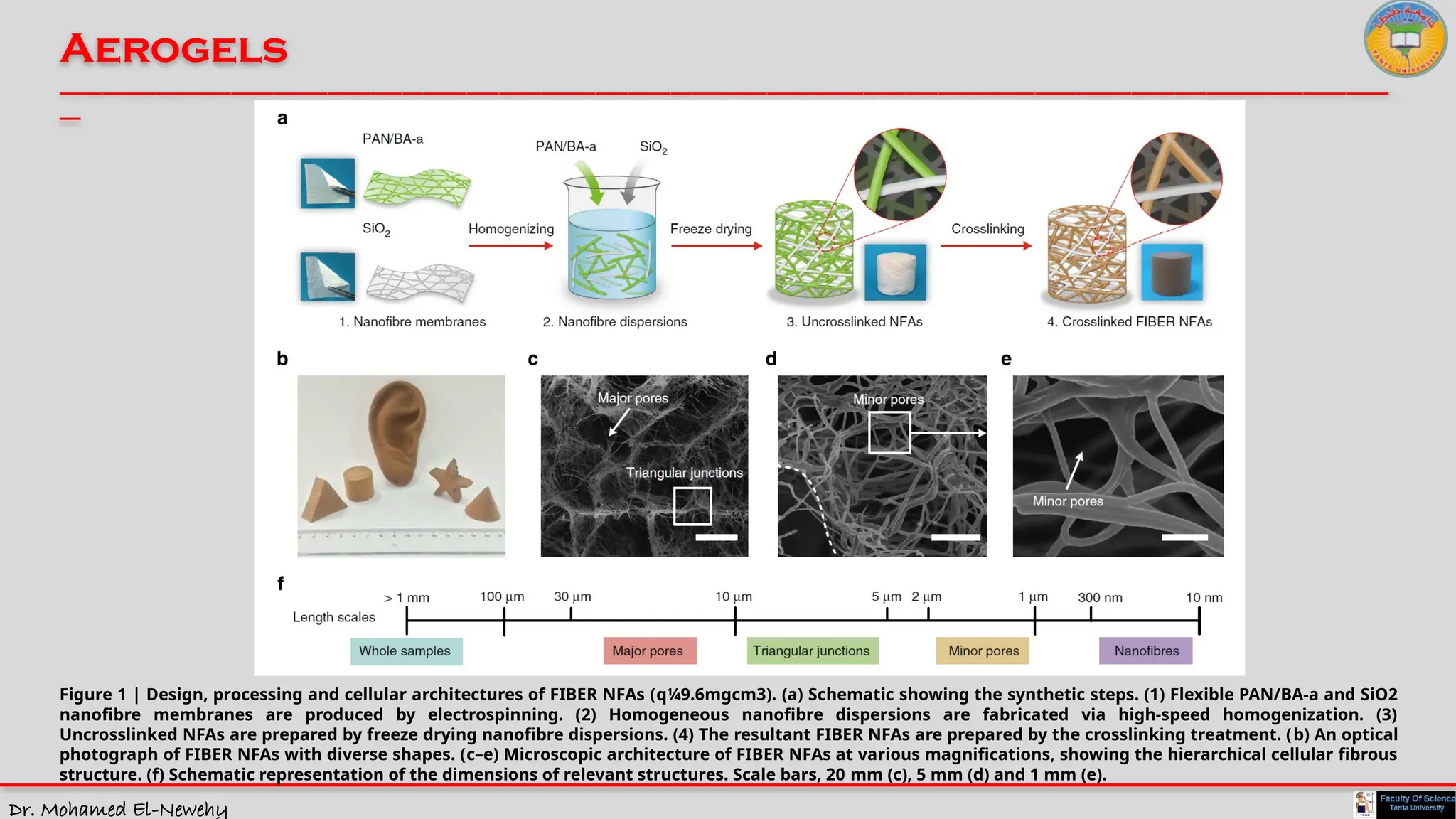 Dr. Mohamed El-Newehy
Aerogels
____________________________________________________________________________________________________________________________
__
Figure 1 | Design, processing and cellular architectures of FIBER NFAs (q¼9.6mgcm3). (a) Schematic showing the synthetic steps. (1) Flexible PAN/BA-a and SiO2
nanofibre membranes are produced by electrospinning. (2) Homogeneous nanofibre dispersions are fabricated via high-speed homogenization. (3)
Uncrosslinked NFAs are prepared by freeze drying nanofibre dispersions. (4) The resultant FIBER NFAs are prepared by the crosslinking treatment. (b) An optical
photograph of FIBER NFAs with diverse shapes. (c–e) Microscopic architecture of FIBER NFAs at various magnifications, showing the hierarchical cellular fibrous
structure. (f) Schematic representation of the dimensions of relevant structures. Scale bars, 20 mm (c), 5 mm (d) and 1 mm (e).
 