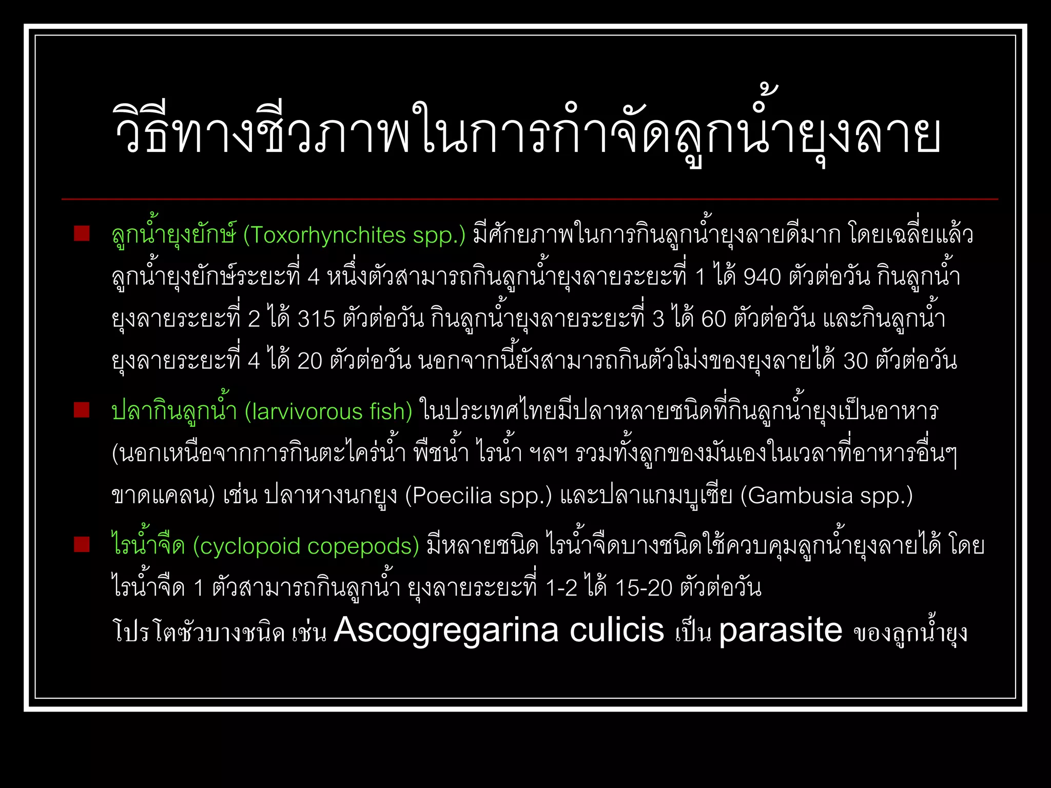 วิธีทางชีวภาพในการกาจัดลูกน้ายุงลาย
 ลูกน้ายุงยักษ์ (Toxorhynchites spp.) มีศักยภาพในการกินลูกน้ายุงลายดีมาก โดยเฉลี่ยแล้ว
ลูกน้ายุงยักษ์ระยะที่ 4 หนึ่งตัวสามารถกินลูกน้ายุงลายระยะที่ 1 ได้ 940 ตัวต่อวัน กินลูกน้า
ยุงลายระยะที่ 2 ได้ 315 ตัวต่อวัน กินลูกน้ายุงลายระยะที่ 3 ได้ 60 ตัวต่อวัน และกินลูกน้า
ยุงลายระยะที่ 4 ได้ 20 ตัวต่อวัน นอกจากนี้ยังสามารถกินตัวโม่งของยุงลายได้ 30 ตัวต่อวัน
 ปลากินลูกน้า (larvivorous fish) ในประเทศไทยมีปลาหลายชนิดที่กินลูกน้ายุงเป็นอาหาร
(นอกเหนือจากการกินตะไคร่น้า พืชน้า ไรน้า ฯลฯ รวมทั้งลูกของมันเองในเวลาที่อาหารอื่นๆ
ขาดแคลน) เช่น ปลาหางนกยูง (Poecilia spp.) และปลาแกมบูเซีย (Gambusia spp.)
 ไรน้าจืด (cyclopoid copepods) มีหลายชนิด ไรน้าจืดบางชนิดใช้ควบคุมลูกน้ายุงลายได้ โดย
ไรน้าจืด 1 ตัวสามารถกินลูกน้า ยุงลายระยะที่ 1-2 ได้ 15-20 ตัวต่อวัน
โปรโตซัวบางชนิด เช่น Ascogregarina culicis เป็น parasite ของลูกน้ายุง
 