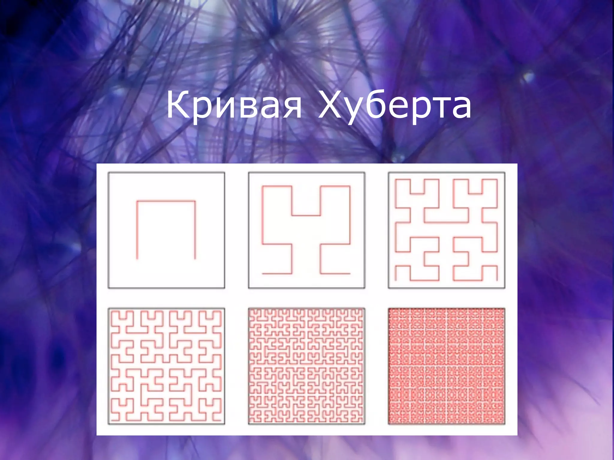 www.newcode.ru
Кривая Хуберта
 