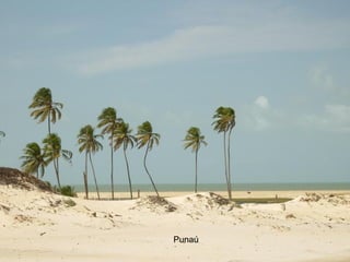 Punaú 