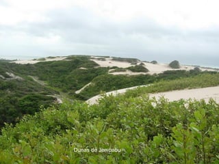 Dunas de Jenipabu 