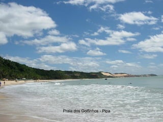Praia dos Golfinhos - Pipa 