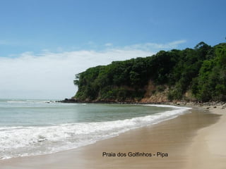 Praia dos Golfinhos - Pipa 